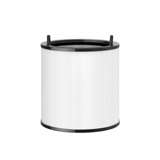 Dyson Evo Carbon Filter Retail